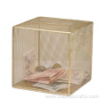 Hot sale personality creative saving box